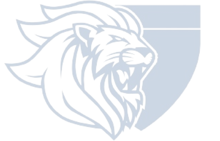 logo avaí